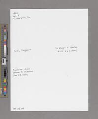 Go to image 3.