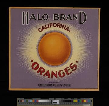 Halo Brand