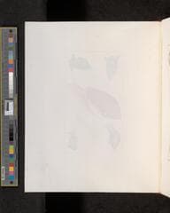 Go to image 228.