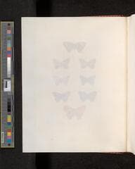 Go to image 42.