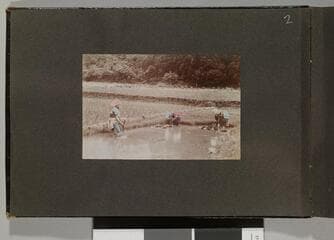 Go to image 4.