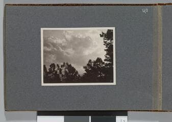 Go to image 42.
