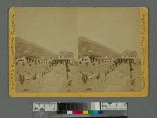 Go to image 1.