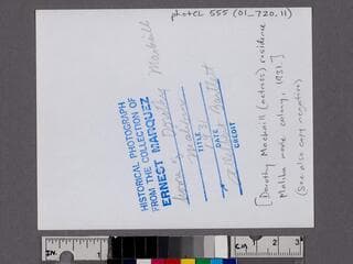 Go to image 2.