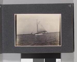 Go to image 19.
