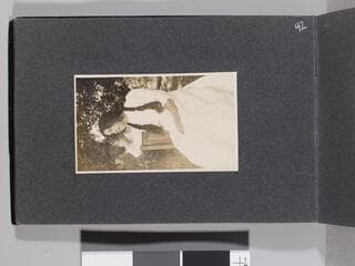 Go to image 44.