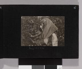 Go to image 17.