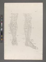 Go to image 263.