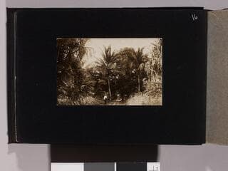 Go to image 18.