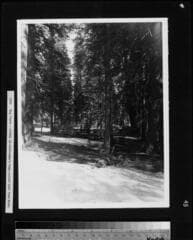 Go to image 46.