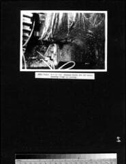 Go to image 66.