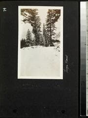 Go to image 76.
