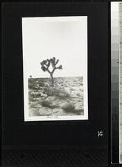 Go to image 34.