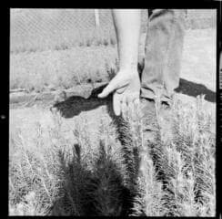 Go to image 48.