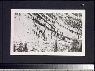 Go to image 19.