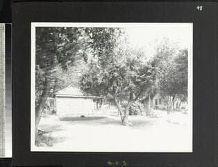 Go to image 54.