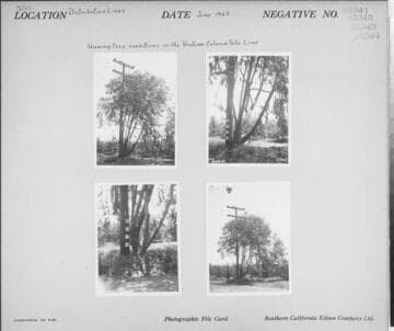 Distribution Lines
