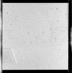 Go to image 9.