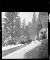 Go to image 65.