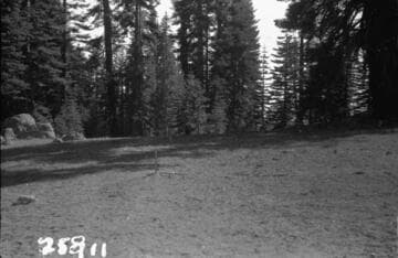 Big Creek General
