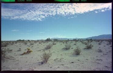 Go to image 5.
