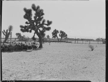 Agriculture Poultry