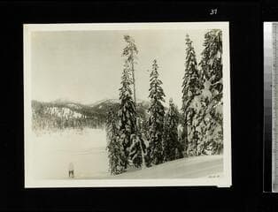 Go to image 38.