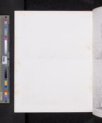 Go to image 239.