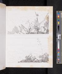 Go to image 254.