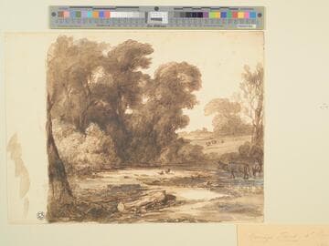 Landscape