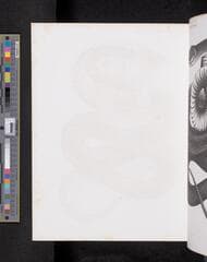 Go to image 911.