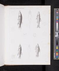 Go to image 1124.