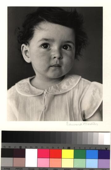 David Zeitlin