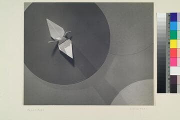 Go to image 1.