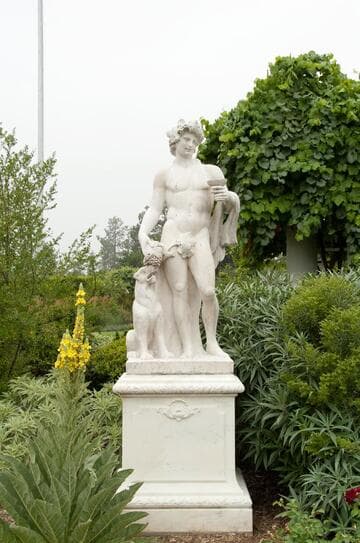 Bacchus