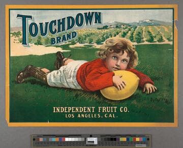 Touchdown Brand