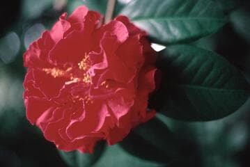 Go to image 3.