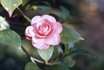 Go to image 4.