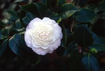 Go to image 3.