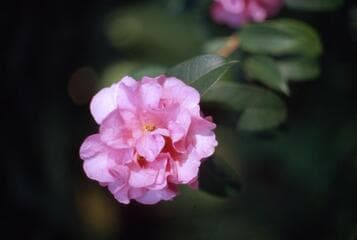 Go to image 2.