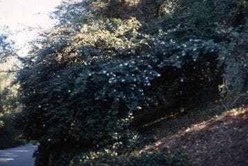 Go to image 9.