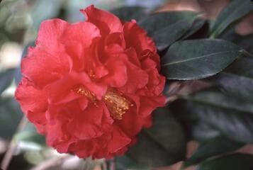 Go to image 4.