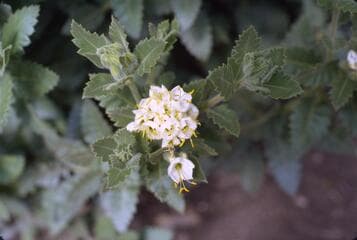 Go to image 4.