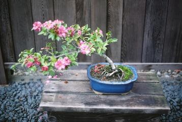 Go to image 5.