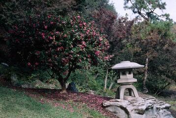 Go to image 8.