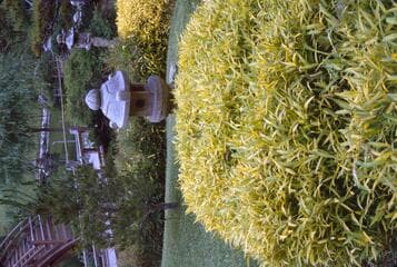 Go to image 3.