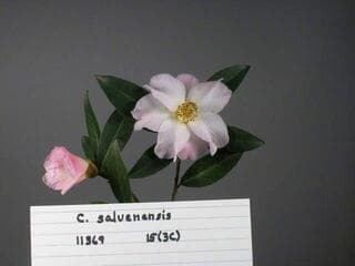 Go to image 8.