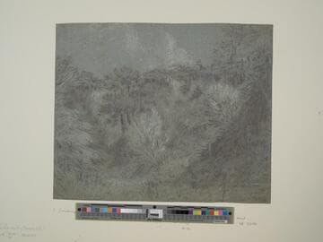 Chalk Pit