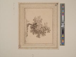 Go to image 2.