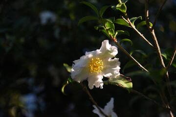 Go to image 3.